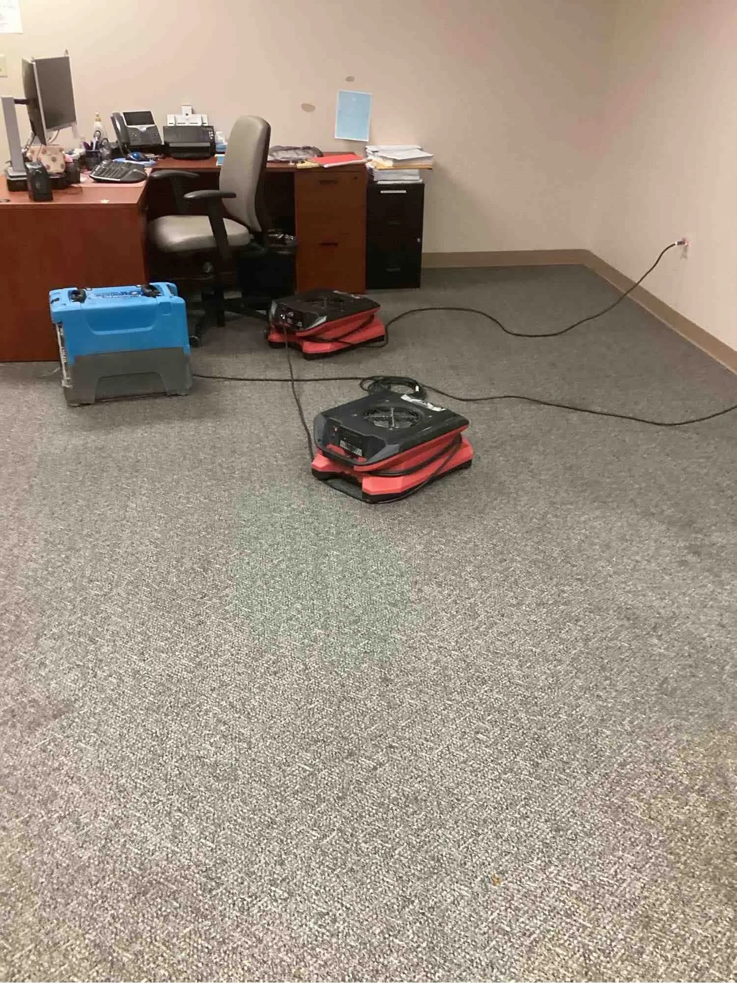 Air movers and a dehumidifier drying carpet in an office after a water loss