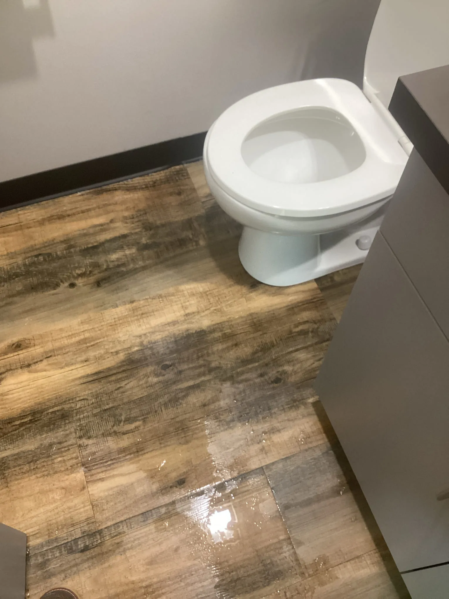Bathroom with sewage backup water pooled on the floor around the toilet awaiting professional cleanup