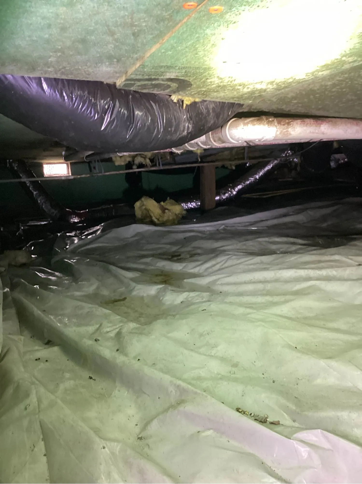 Sealed crawl space with a white vapor barrier protecting the plumbing that runs under a Louisville home