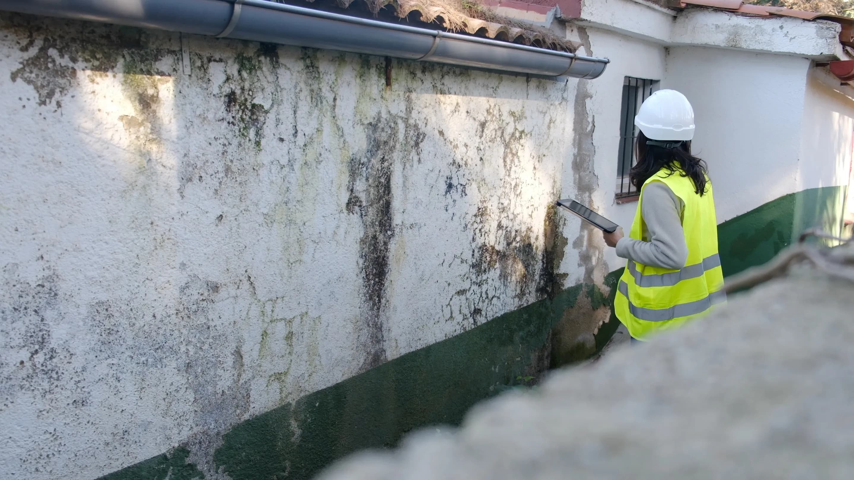 Inspector examining a wall for water damage during a free inspection