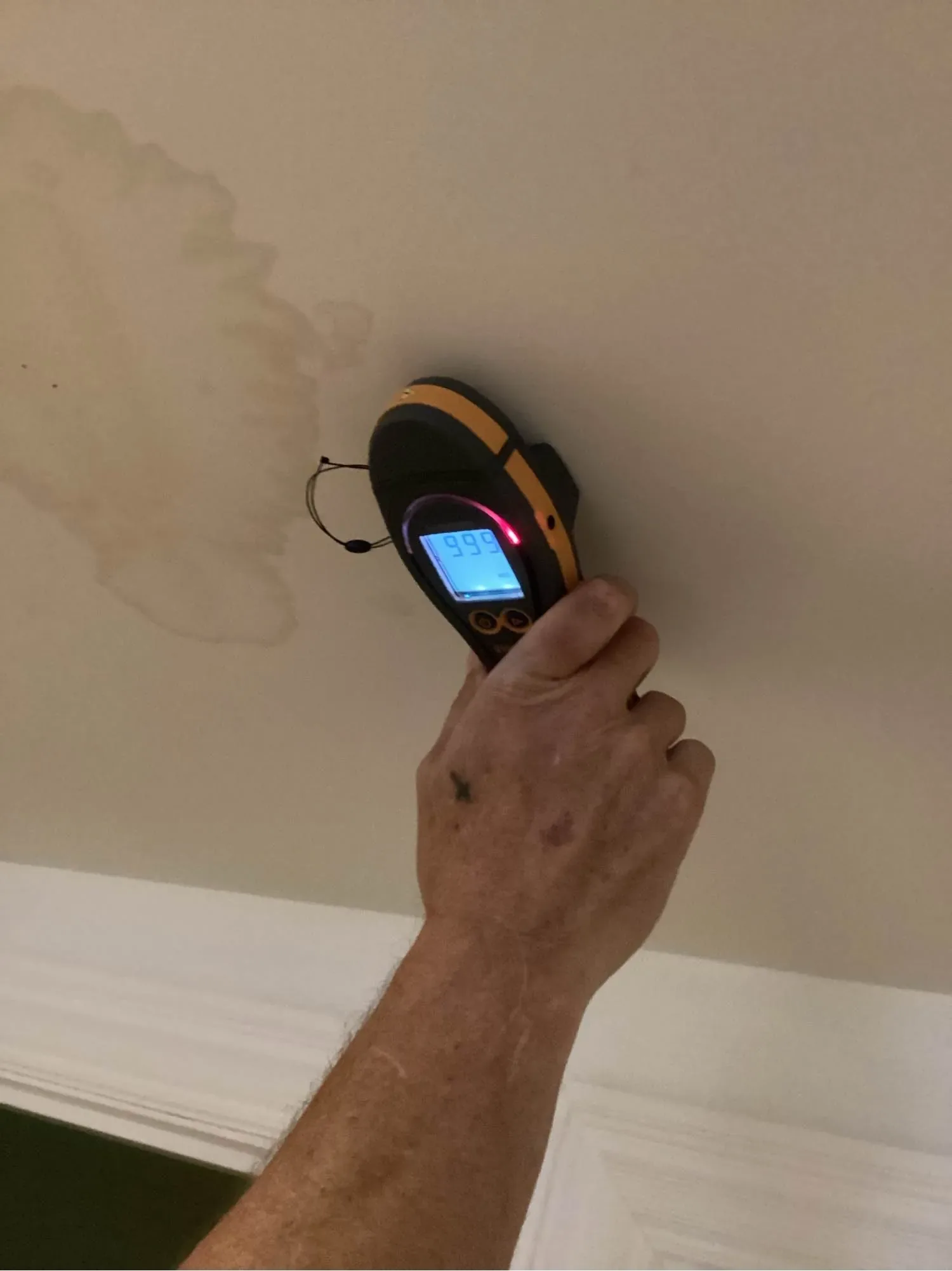Technician holding a moisture meter against a stained ceiling during a mold inspection