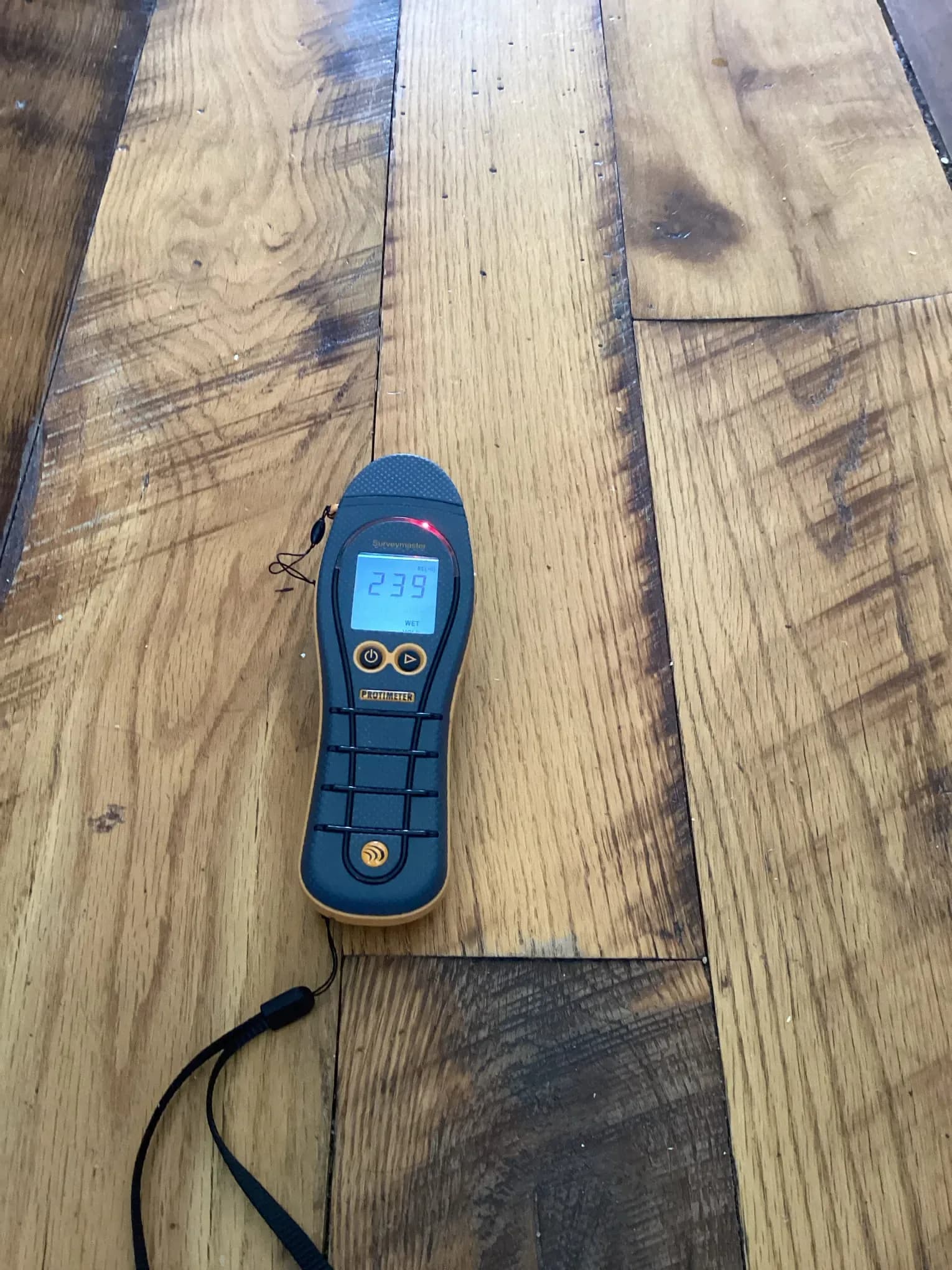 Close reading taken with a moisture meter on a hardwood floor