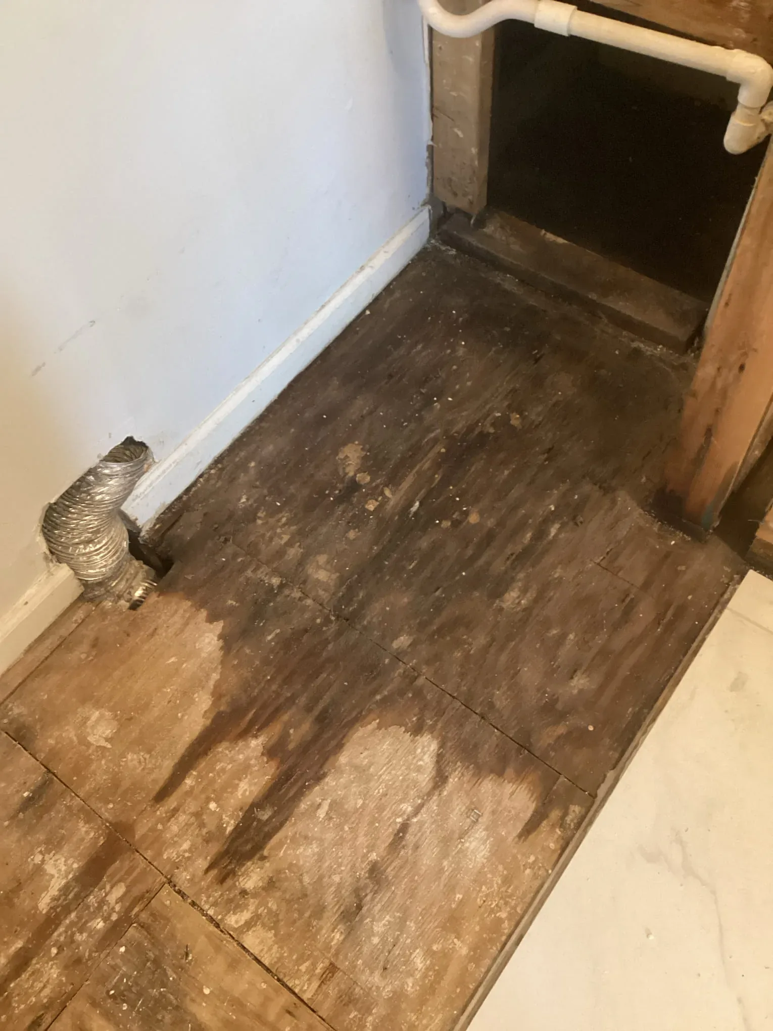 Vapor barrier and below-grade framing inspected during a basement moisture assessment in Louisville