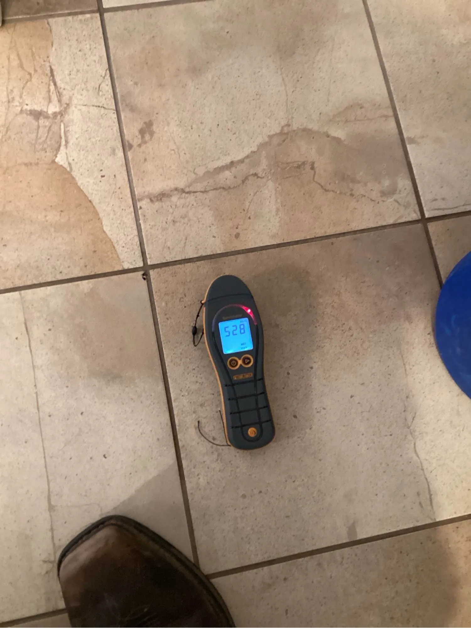 Moisture meter reading taken on a tile floor where water has tracked across the grout lines