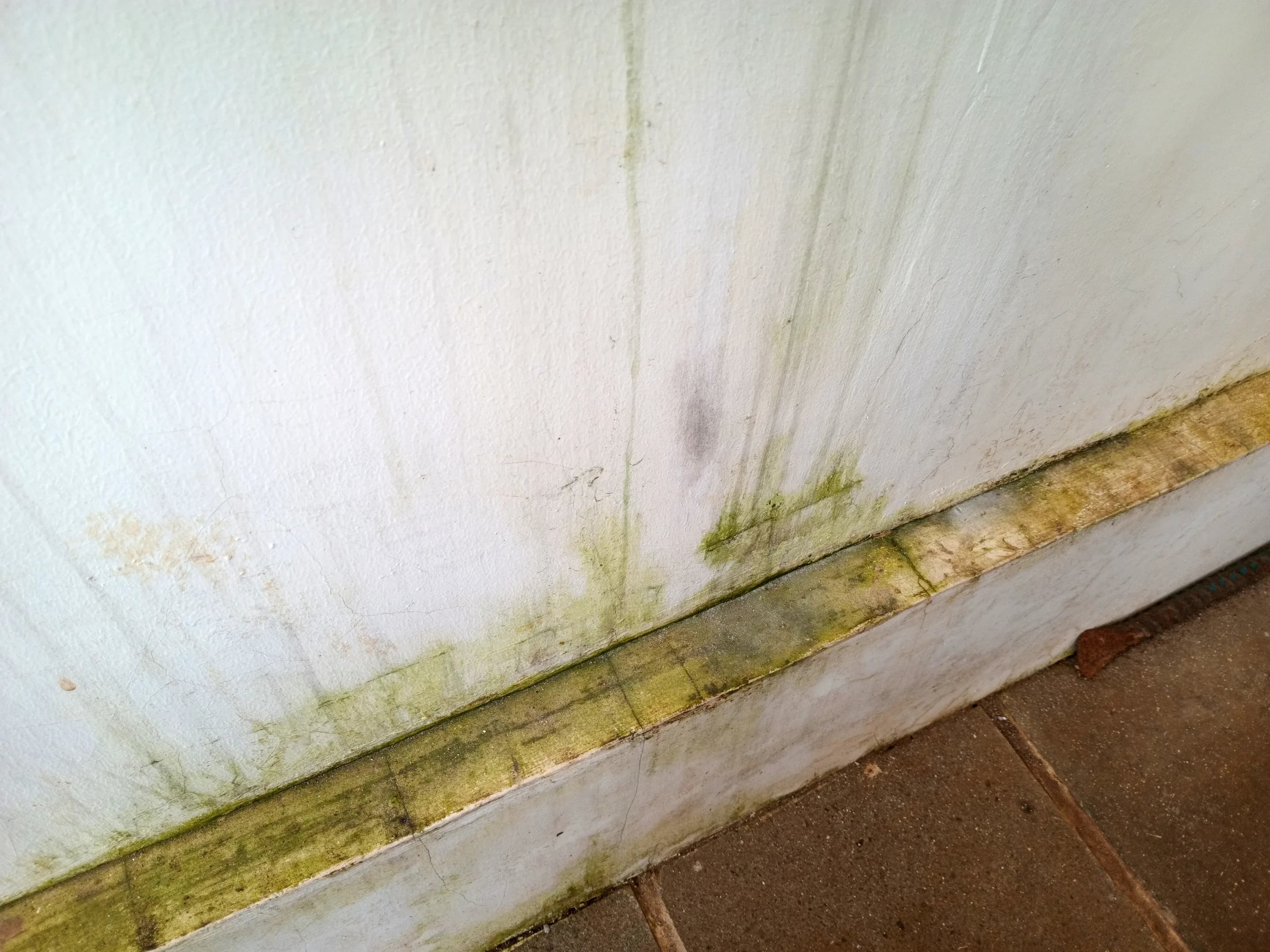Mold growth in a baseboard corner discovered during a Hurstbourne property inspection