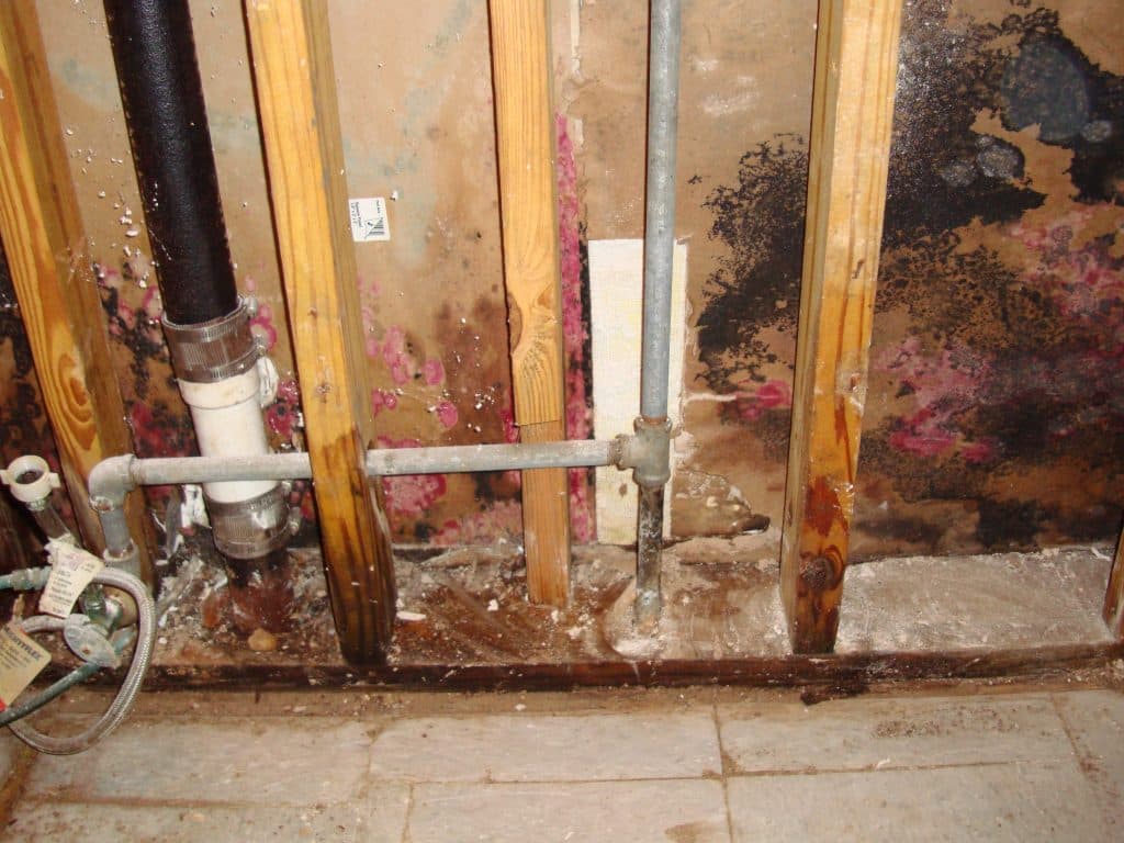 Mold growth on framing inside an opened wall cavity in a Louisville home