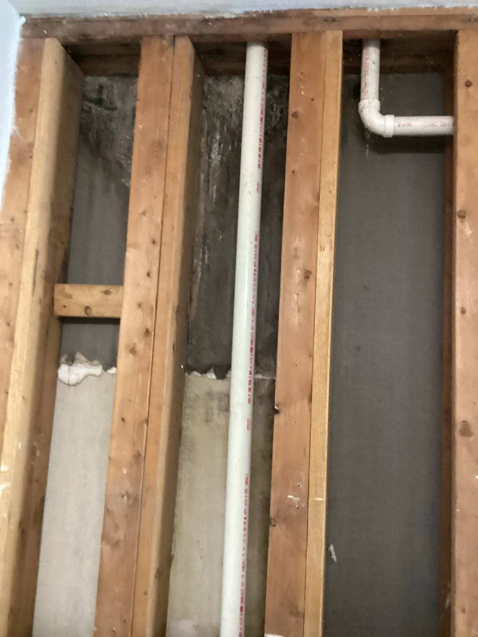Black mold growth on water-damaged wall studs and framing around plumbing, exposed during mold remediation in Louisville