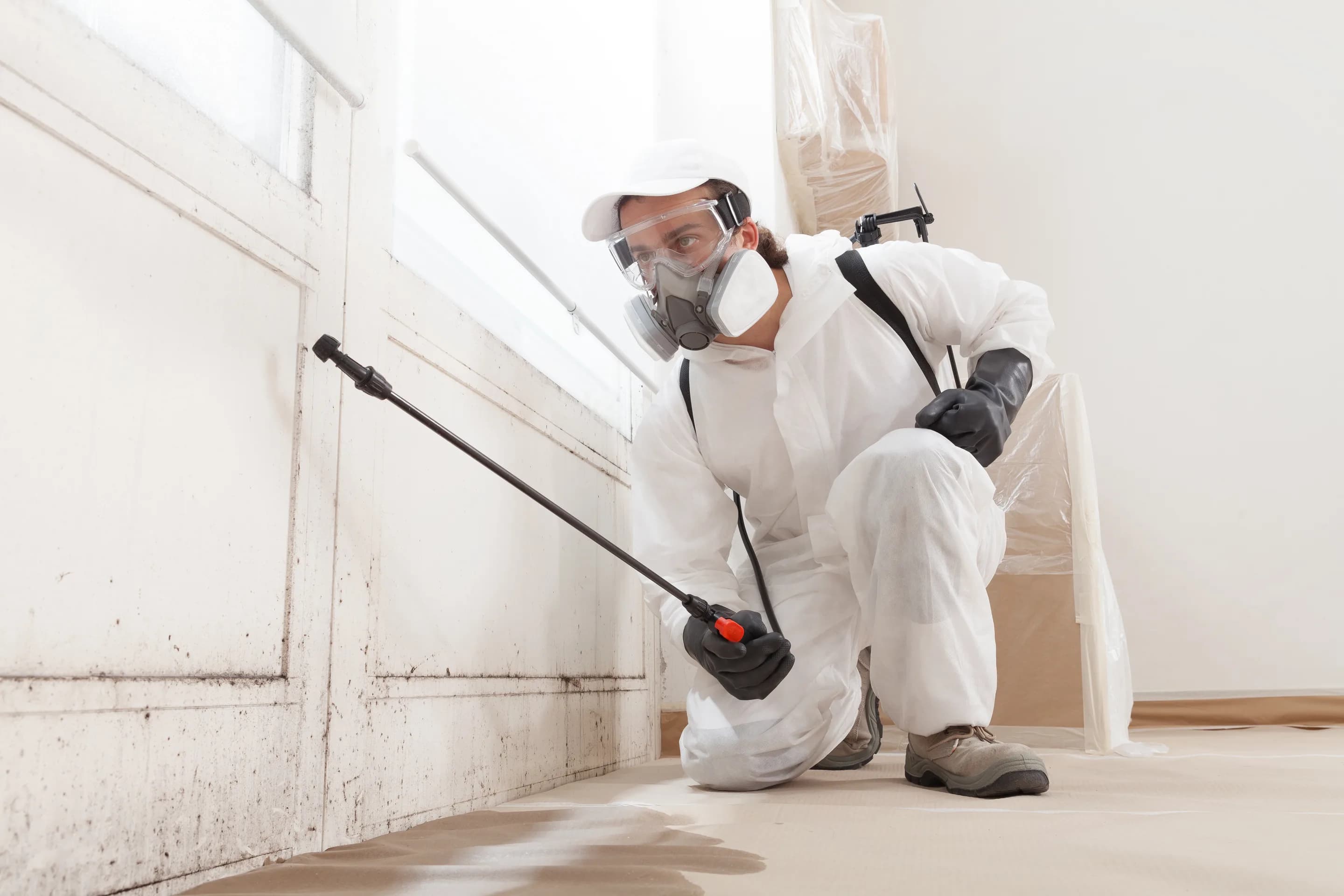 Hurstbourne area property during odor removal work